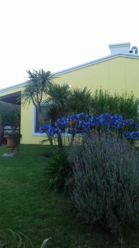 Casa Mahatma