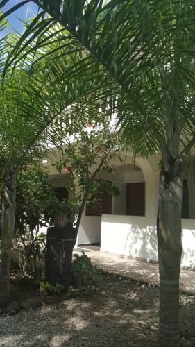 Apartamentos Pasi Lodge