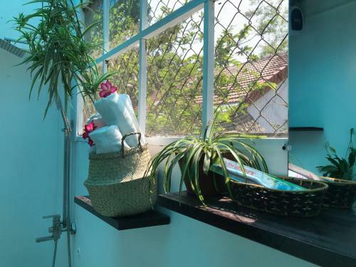 An Bang Purple Homestay