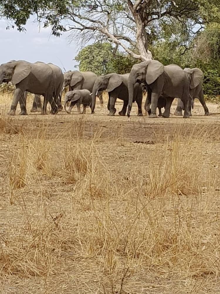 Ngoma Zanga Lodge