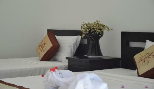 Hoian Succulent Homestay