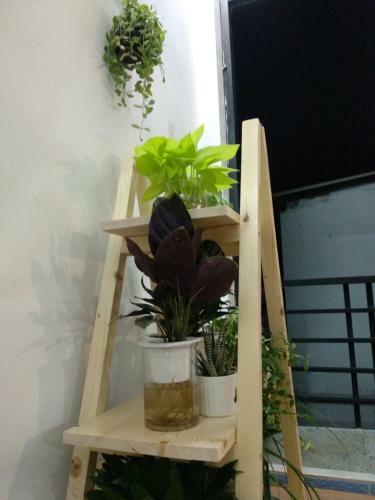 Enjoy Mekong Hostel