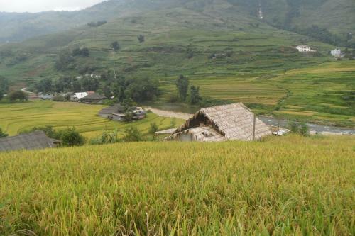 Tavan Nature Homestay