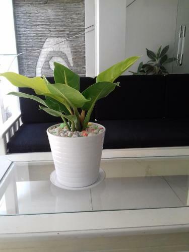Dewi Hotel