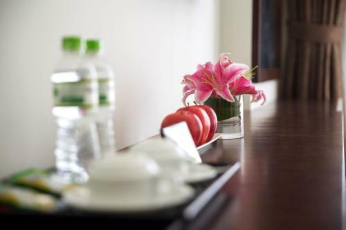 New Vision Palace Hotel