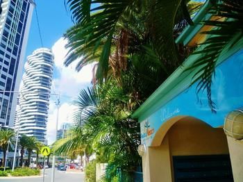 Apartamento Aruba Beach Resort