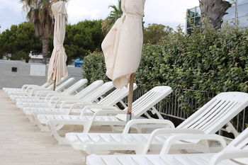 Sea Lion Hotel