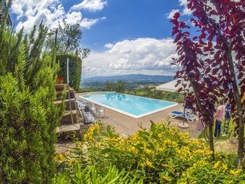 Agroturismo Agriturismo Cafaggio Primo