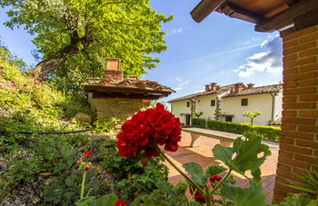 Agroturismo Agriturismo Cafaggio Primo