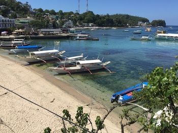 Hotel Papa Fred's Beach Resort