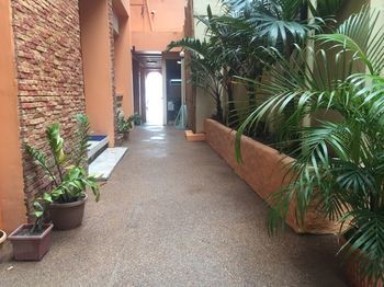 Hotel Papa Fred's Beach Resort