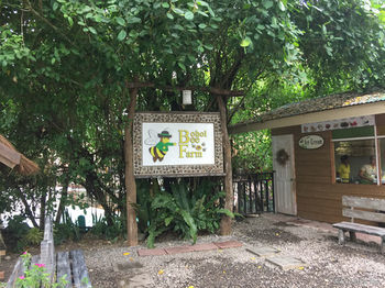Hotel Bohol Bee Farm