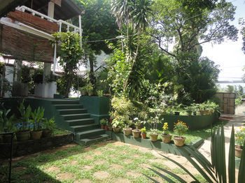 Hotel Star Holiday Resort