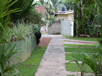 Hotel Star Holiday Resort
