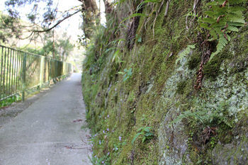 Hakone Guest House Toi - Hostel