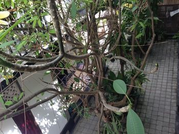 Hotel Double N Guesthouse