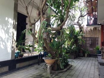 Hotel Double N Guesthouse