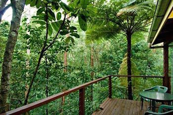 Cabana Kondalilla Eco Resort
