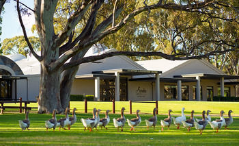 Motel Serafino Mclaren Vale