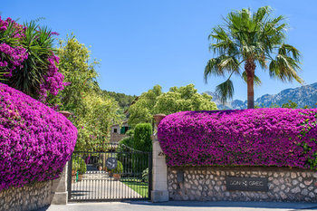 Hotel Son Grec Petit Resort - Adult Only