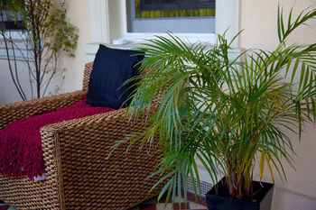 Apartamento Carlton Terrace