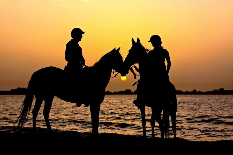 Posada Anantara Al Sahel Villa Resort