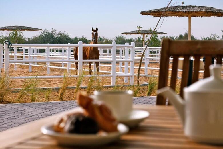 Posada Anantara Al Sahel Villa Resort