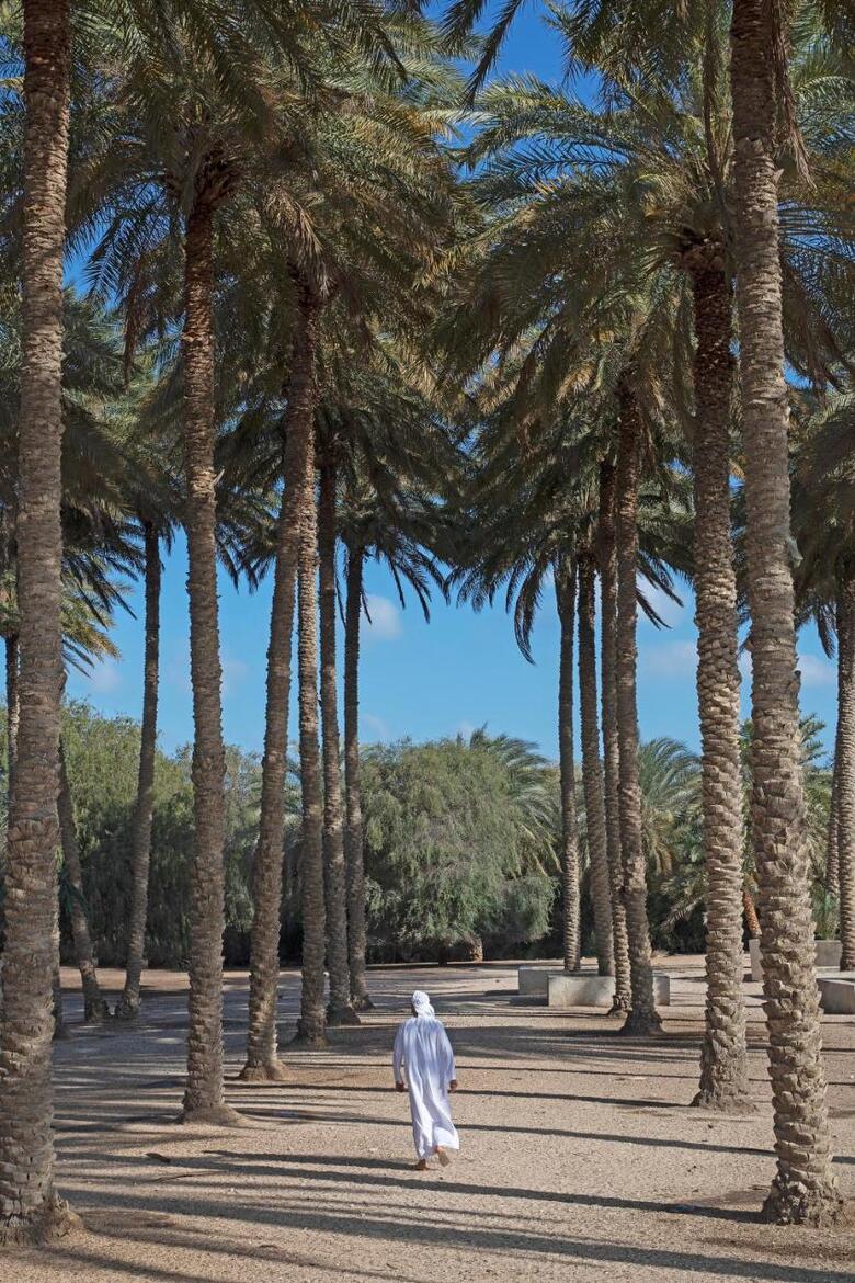 Posada Anantara Al Sahel Villa Resort