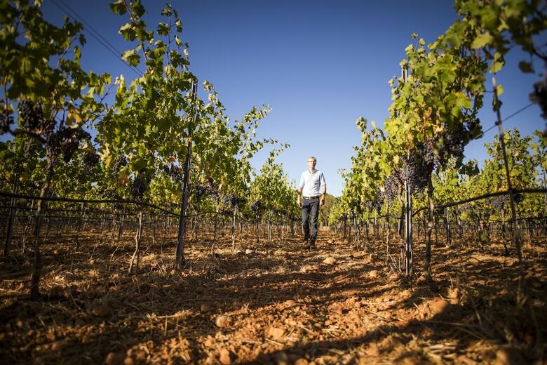 Weingut & Landhotel Can Davero