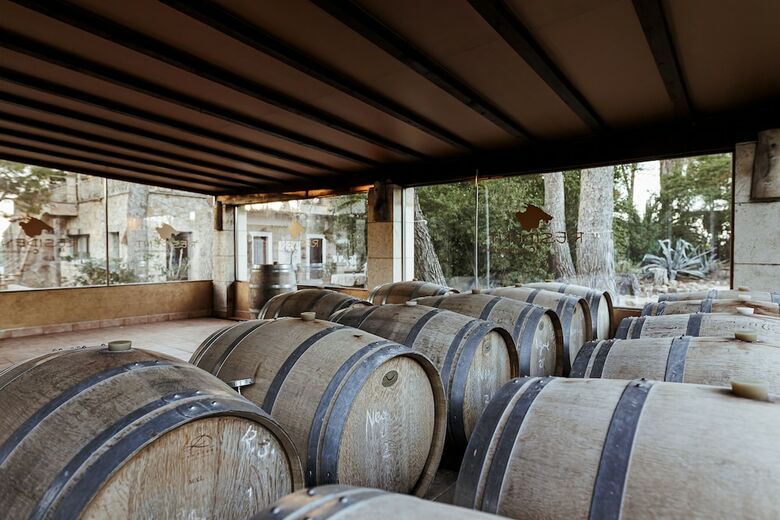 Weingut & Landhotel Can Davero
