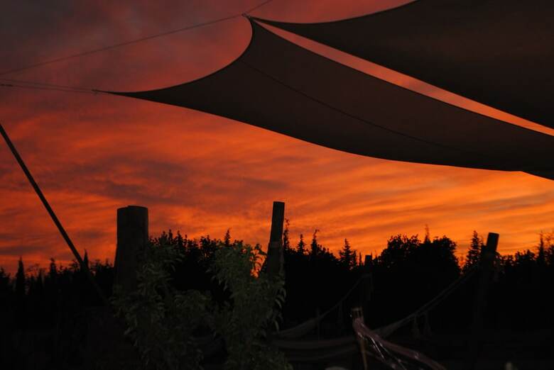 Weingut & Landhotel Can Davero