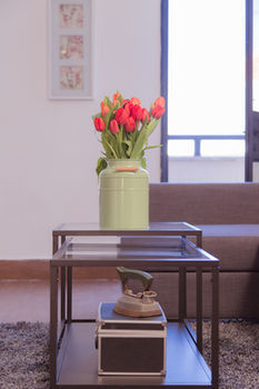 Shenkin Vilmar Apartments