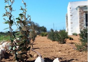 Villa Nakos Homes