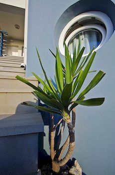 Aparthotel Sea Breeze