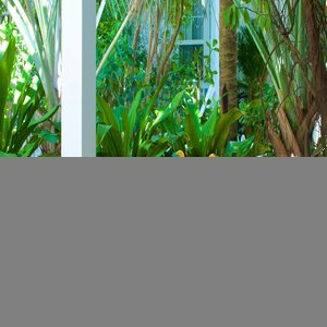 Apartamento Parrot Key Hotel & Resort