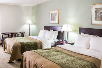 Comfort Inn Hotel