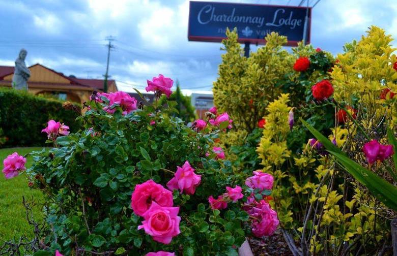 Hotel Chardonnay Lodge