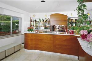 Hotel New Zanarini