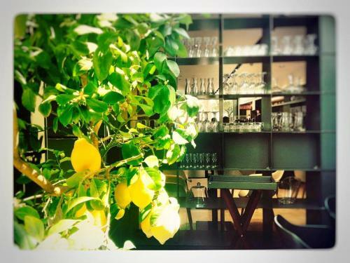 Hotel Vila Arenys