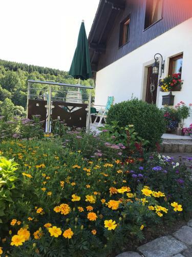 Apartamento Haus Mittelberg