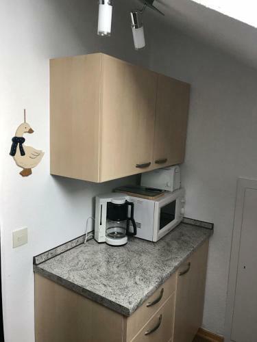 Apartamento Haus Mittelberg