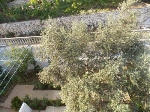 Hostal Guest House Vila Bega