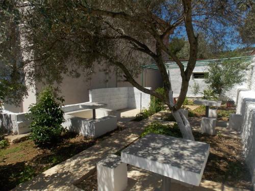 Hostal Guest House Vila Bega