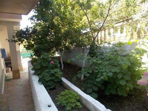 Hostal Guest House Vila Bega
