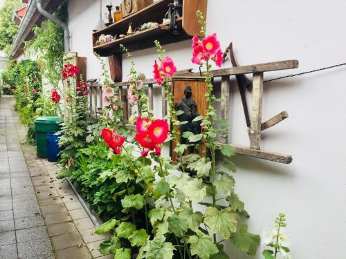 Hostal Antik - Pension Birnbom