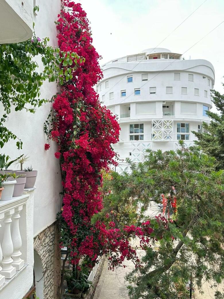 Hotel Rixhi