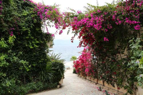 Bellavista Apartments Bougainville Bay
