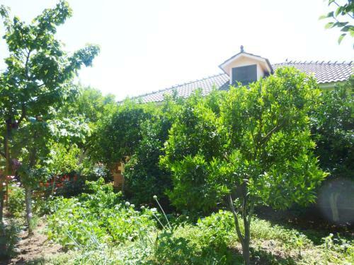 Apartamentos Vila Altini Borsh