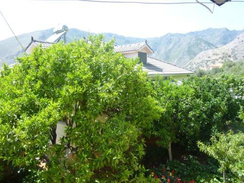 Apartamentos Vila Altini Borsh