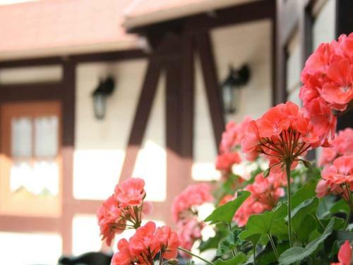 Hotel Sch�tzen